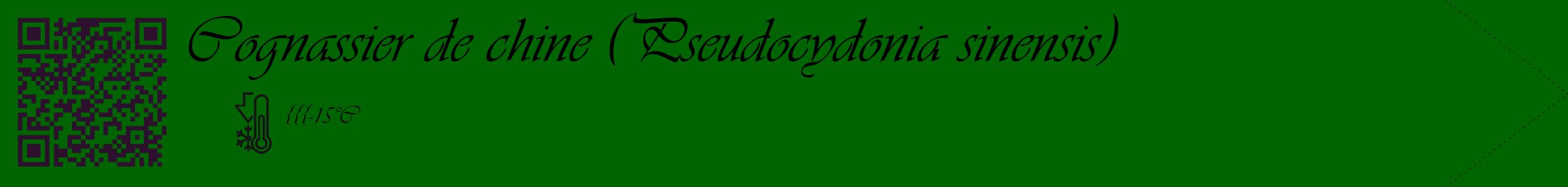 Étiquette de : Pseudocydonia sinensis - format c - style noire8_simple_simpleviv avec qrcode et comestibilité
