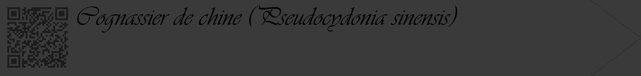 Étiquette de : Pseudocydonia sinensis - format c - style noire8_simple_simpleviv avec qrcode et comestibilité