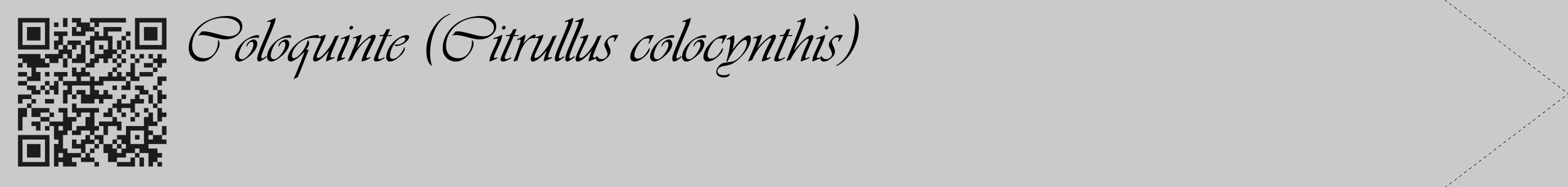 Étiquette de : Citrullus colocynthis - format c - style noire21_simple_simpleviv avec qrcode et comestibilité