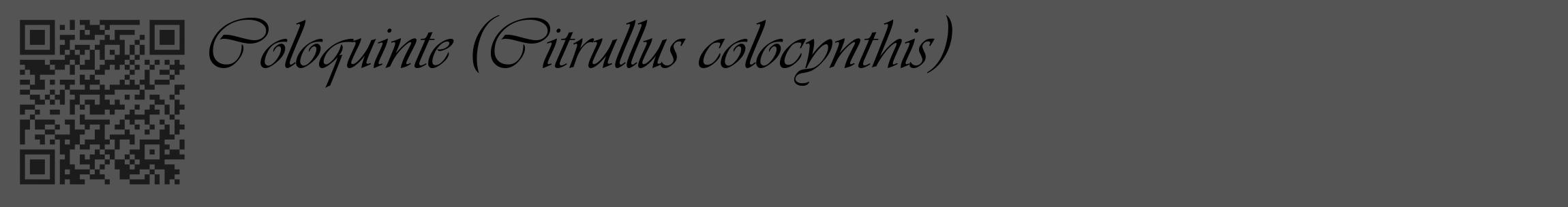 Étiquette de : Citrullus colocynthis - format c - style noire36_basique_basiqueviv avec qrcode et comestibilité