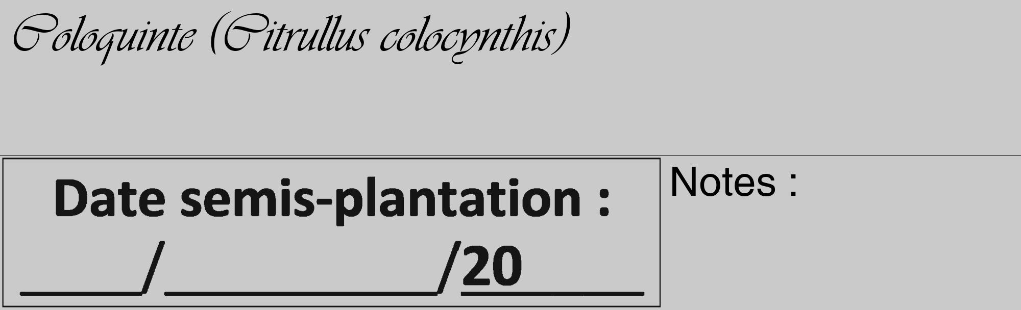 Étiquette de : Citrullus colocynthis - format c - style noire21_basique_basiqueviv avec comestibilité