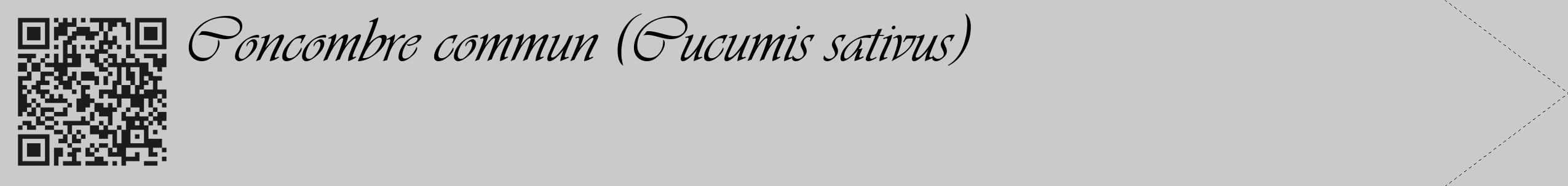 Étiquette de : Cucumis sativus - format c - style noire21_simple_simpleviv avec qrcode et comestibilité