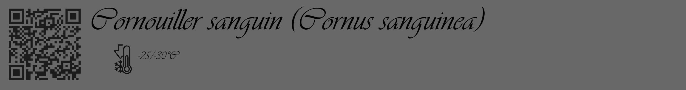 Étiquette de : Cornus sanguinea - format c - style noire43_basique_basiqueviv avec qrcode et comestibilité