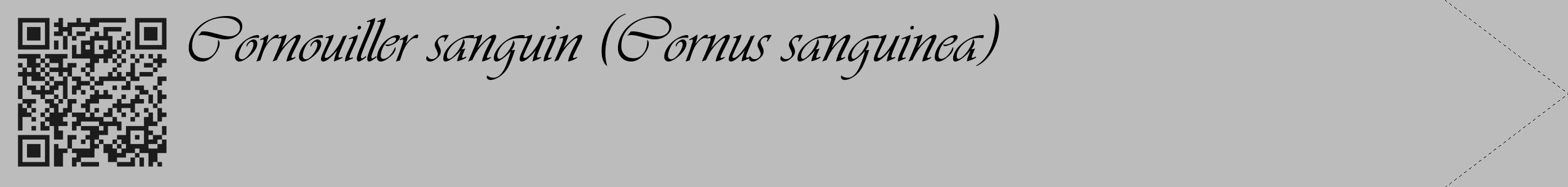 Étiquette de : Cornus sanguinea - format c - style noire1_simple_simpleviv avec qrcode et comestibilité