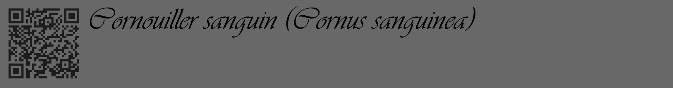Étiquette de : Cornus sanguinea - format c - style noire43_basique_basiqueviv avec qrcode et comestibilité