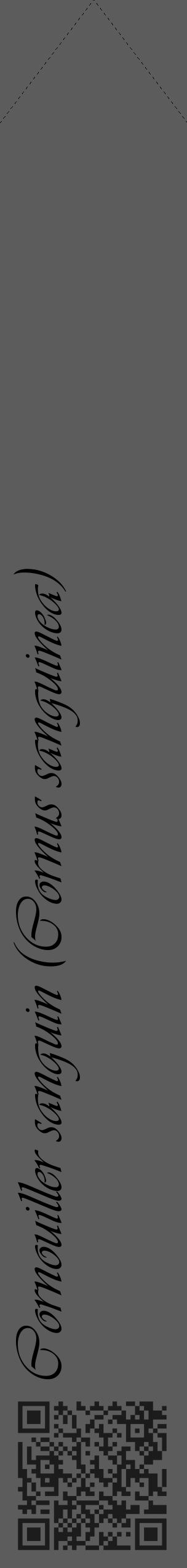 Étiquette de : Cornus sanguinea - format c - style noire49_simple_simpleviv avec qrcode et comestibilité - position verticale