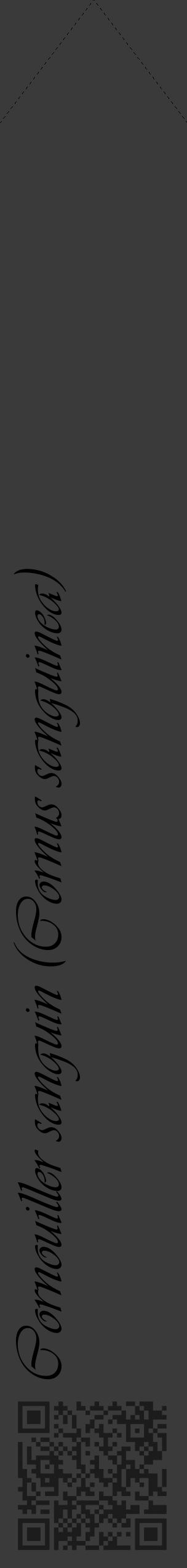 Étiquette de : Cornus sanguinea - format c - style noire8_simple_simpleviv avec qrcode et comestibilité - position verticale
