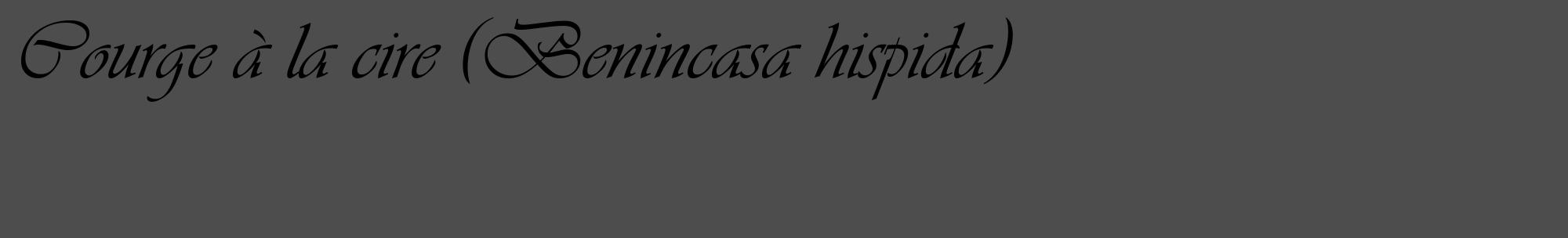 Étiquette de : Benincasa hispida - format c - style noire28_basique_basiqueviv avec comestibilité