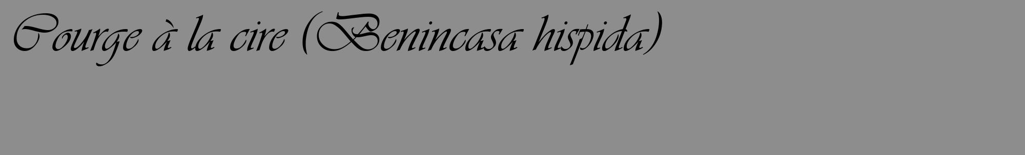 Étiquette de : Benincasa hispida - format c - style noire2_basique_basiqueviv avec comestibilité