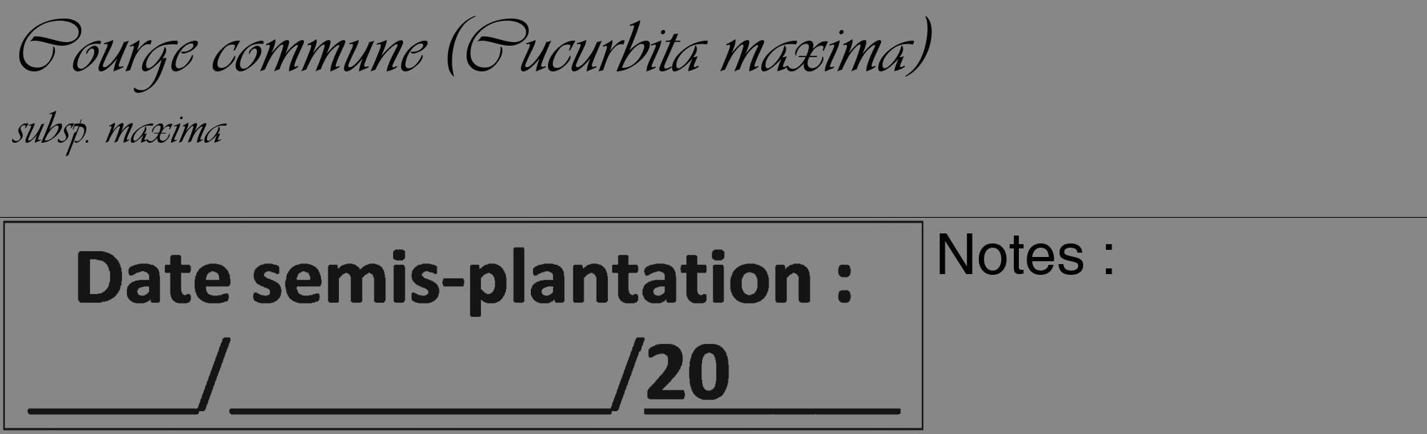 Étiquette de : Cucurbita maxima subsp. maxima - format c - style noire12_basique_basiqueviv avec comestibilité