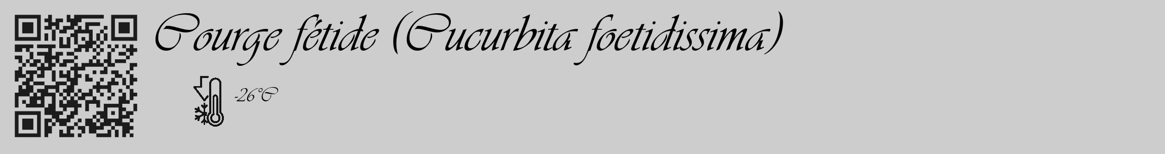 Étiquette de : Cucurbita foetidissima - format c - style noire41_basique_basiqueviv avec qrcode et comestibilité