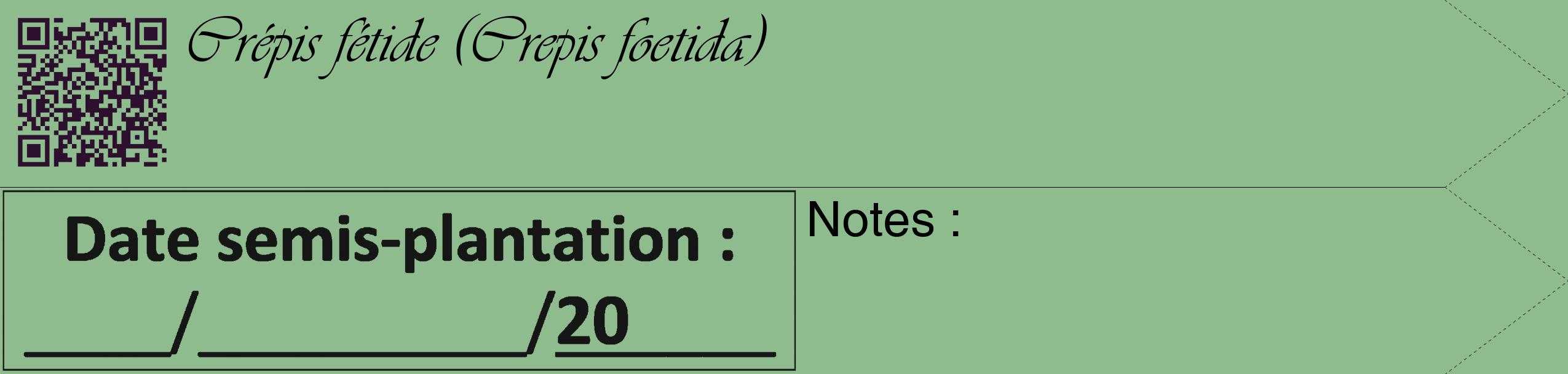 Étiquette de : Crepis foetida - format c - style noire13_simple_simpleviv avec qrcode et comestibilité