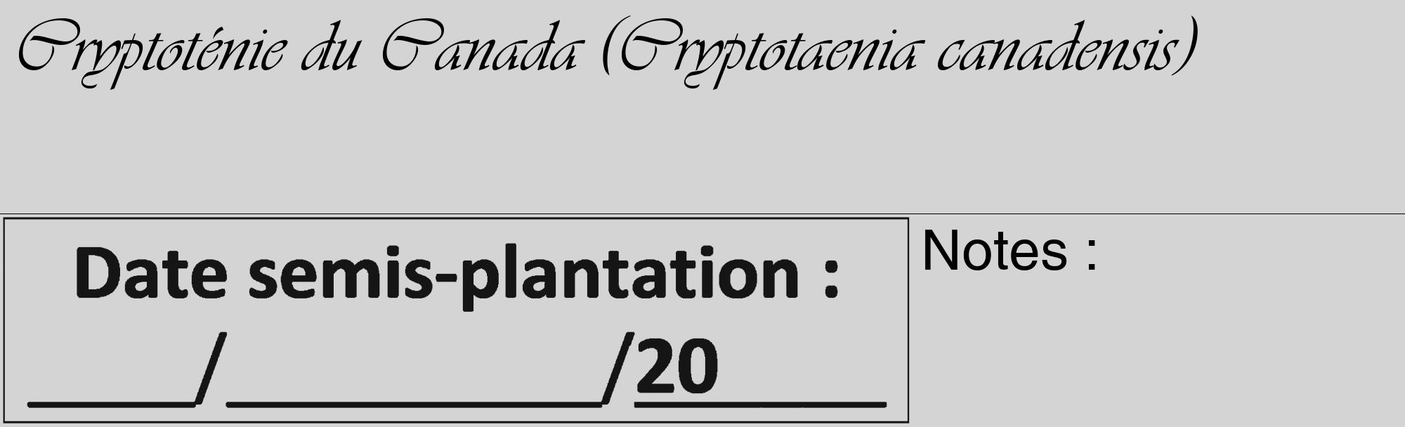 Étiquette de : Cryptotaenia canadensis - format c - style noire40_basique_basiqueviv avec comestibilité