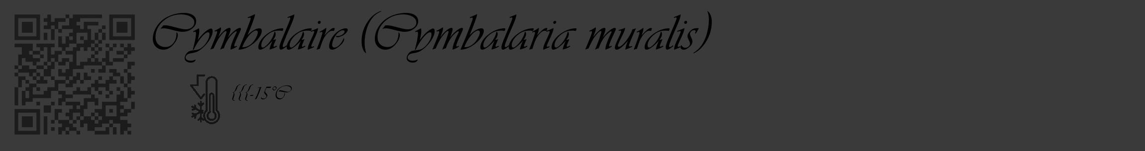 Étiquette de : Cymbalaria muralis - format c - style noire8_basique_basiqueviv avec qrcode et comestibilité