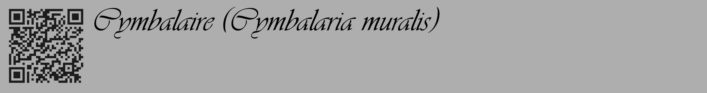 Étiquette de : Cymbalaria muralis - format c - style noire53_basique_basiqueviv avec qrcode et comestibilité
