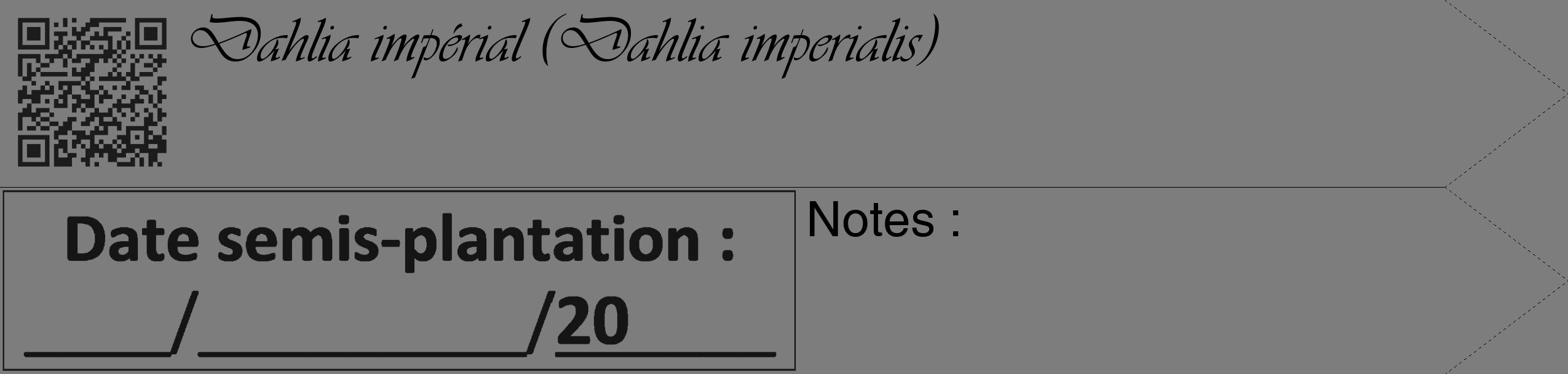 Étiquette de : Dahlia imperialis - format c - style noire35_simple_simpleviv avec qrcode et comestibilité