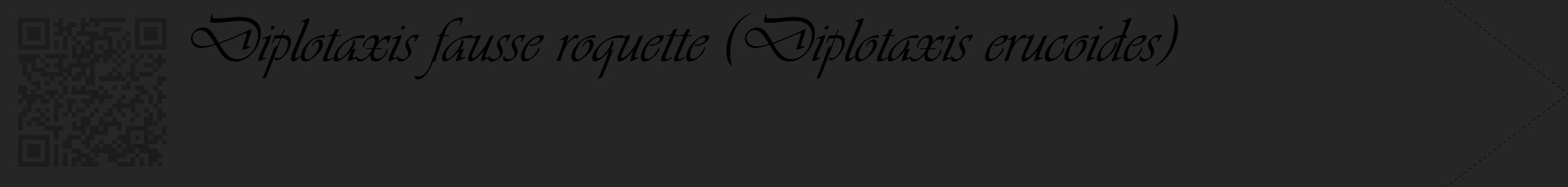 Étiquette de : Diplotaxis erucoides - format c - style noire29_simple_simpleviv avec qrcode et comestibilité