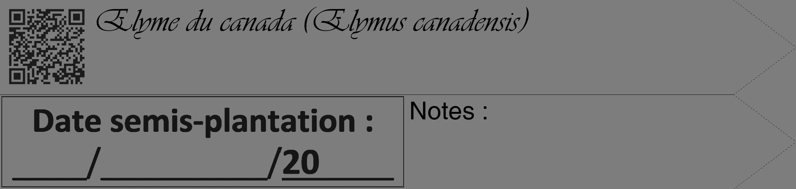 Étiquette de : Elymus canadensis - format c - style noire35_simple_simpleviv avec qrcode et comestibilité