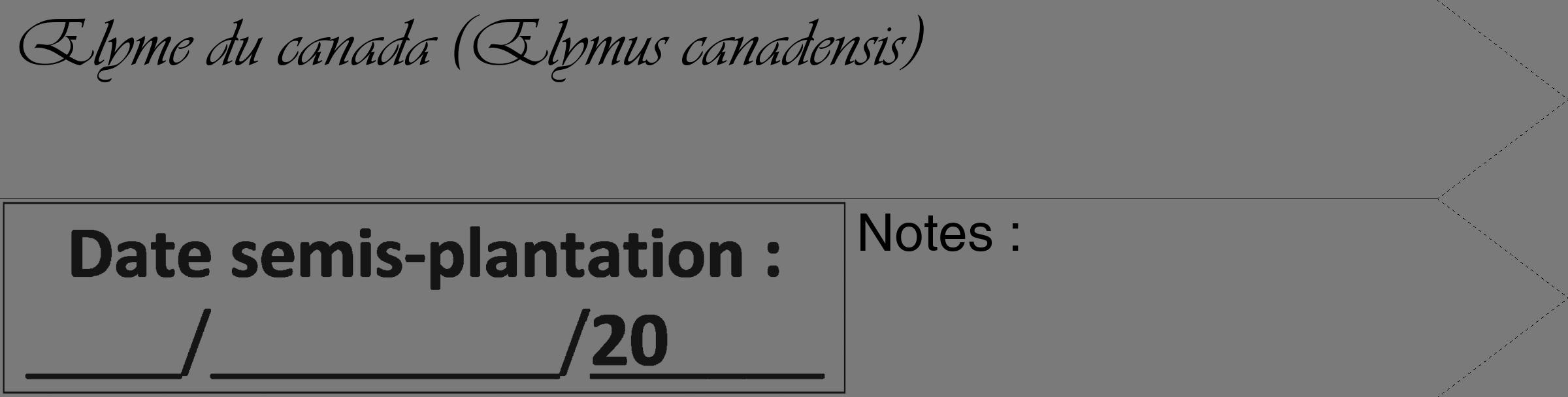 Étiquette de : Elymus canadensis - format c - style noire3_simple_simpleviv avec comestibilité