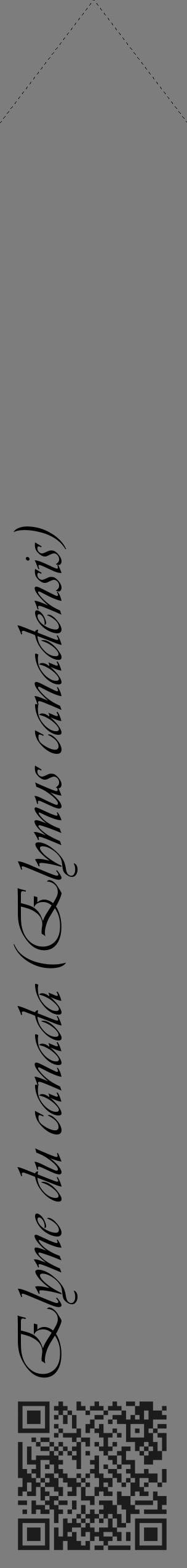 Étiquette de : Elymus canadensis - format c - style noire35_simple_simpleviv avec qrcode et comestibilité - position verticale
