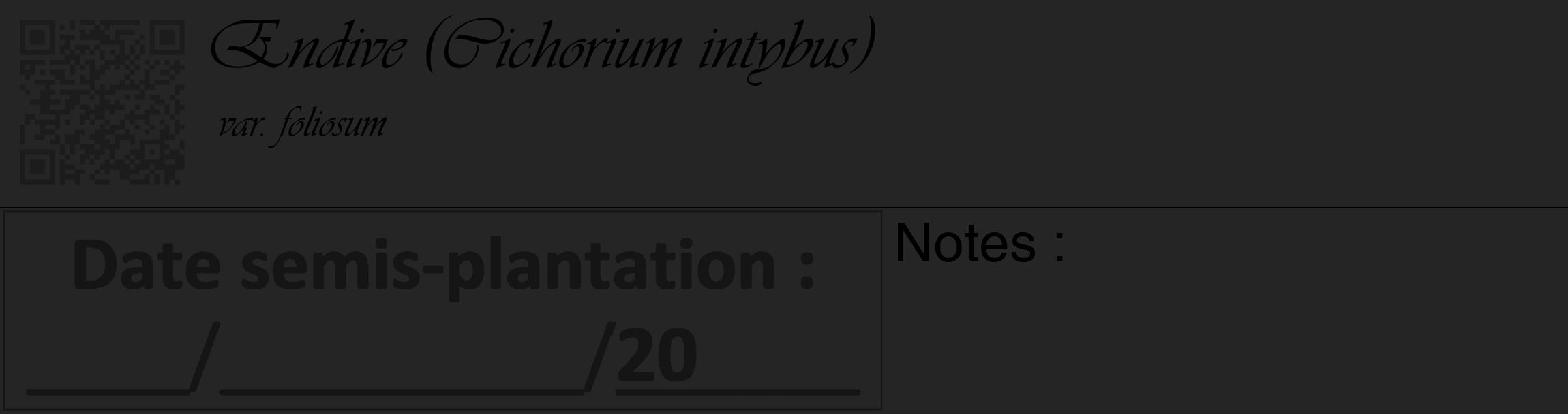 Étiquette de : Cichorium intybus var. foliosum - format c - style noire47_basique_basiqueviv avec qrcode et comestibilité