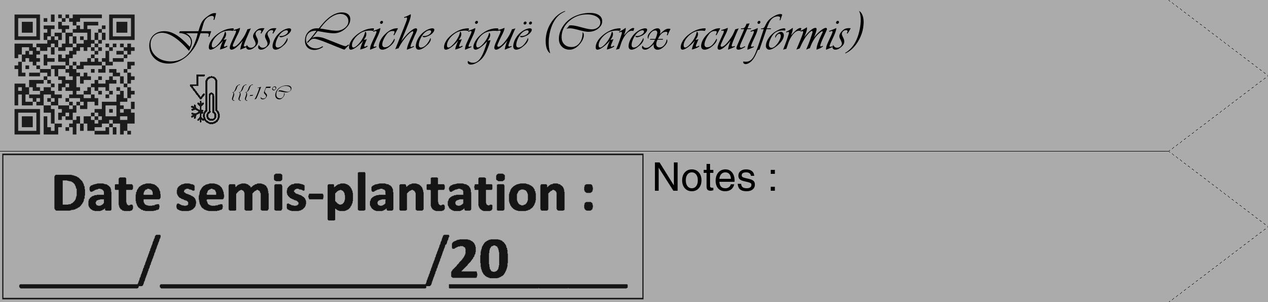 Étiquette de : Carex acutiformis - format c - style noire37_simple_simpleviv avec qrcode et comestibilité