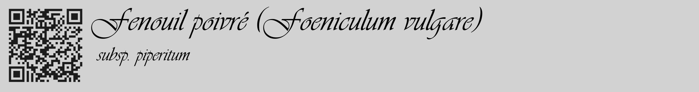 Étiquette de : Foeniculum vulgare subsp. piperitum - format c - style noire14_basique_basiqueviv avec qrcode et comestibilité