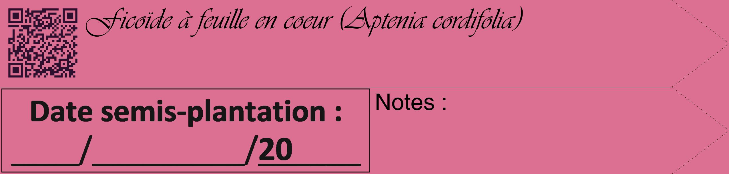 Étiquette de : Aptenia cordifolia - format c - style noire44_simple_simpleviv avec qrcode et comestibilité