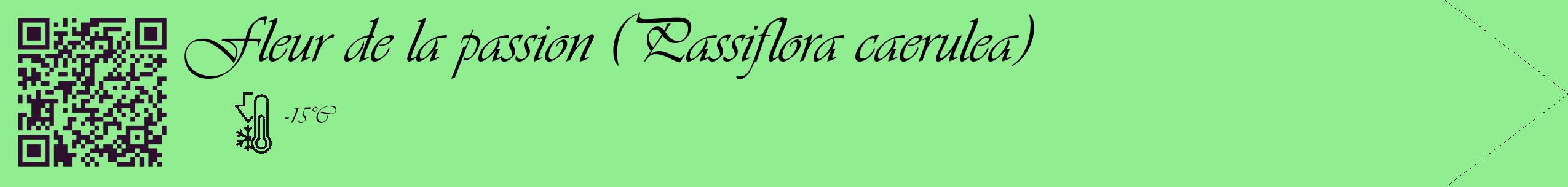 Étiquette de : Passiflora caerulea - format c - style noire15_simple_simpleviv avec qrcode et comestibilité