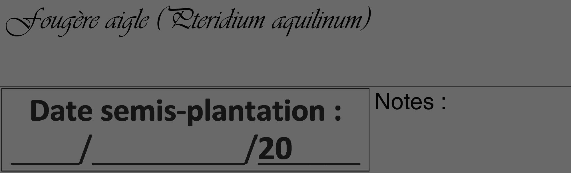 Étiquette de : Pteridium aquilinum - format c - style noire11_basique_basiqueviv avec comestibilité