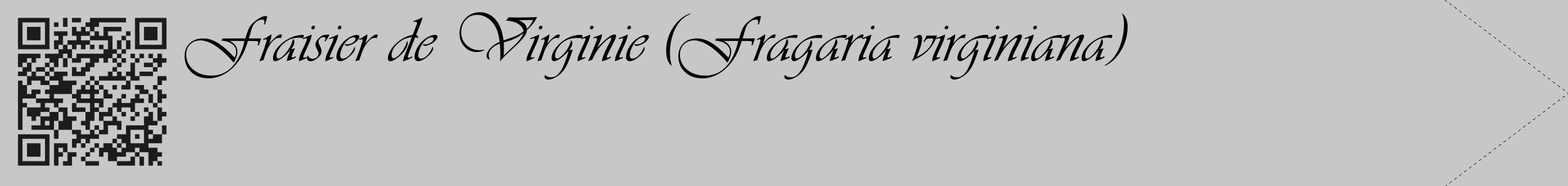 Étiquette de : Fragaria virginiana - format c - style noire15_simple_simpleviv avec qrcode et comestibilité