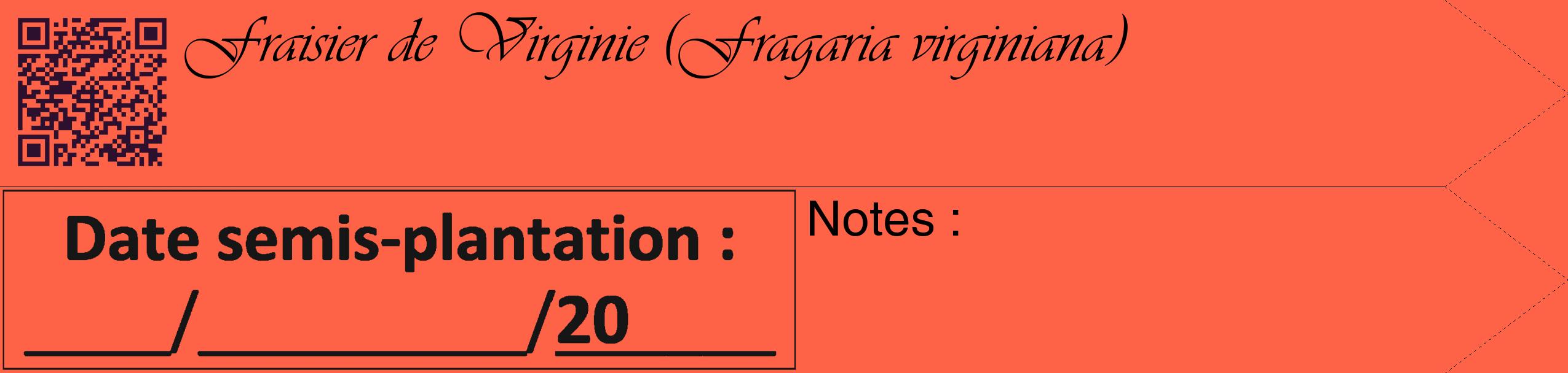 Étiquette de : Fragaria virginiana - format c - style noire25_simple_simpleviv avec qrcode et comestibilité