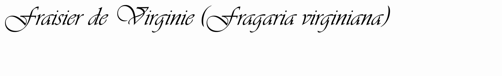 Étiquette de : Fragaria virginiana - format c - style noire19_basique_basiqueviv avec comestibilité