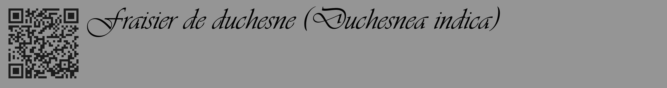 Étiquette de : Duchesnea indica - format c - style noire16_basique_basiqueviv avec qrcode et comestibilité