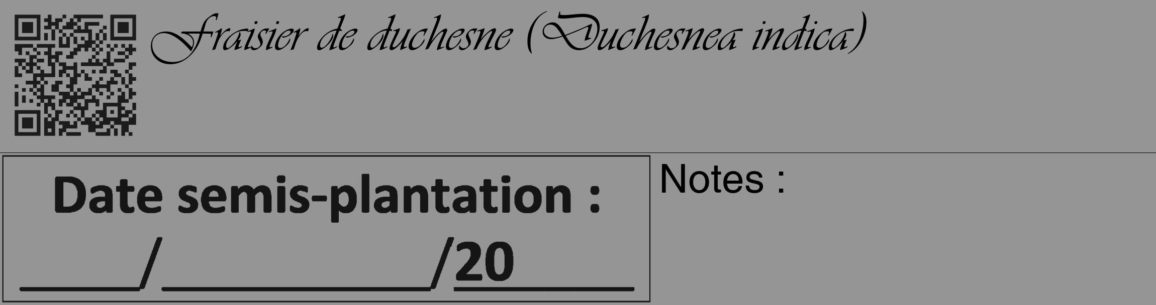 Étiquette de : Duchesnea indica - format c - style noire16_basique_basiqueviv avec qrcode et comestibilité
