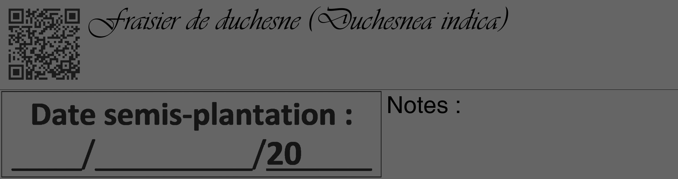 Étiquette de : Duchesnea indica - format c - style noire32_basique_basiqueviv avec qrcode et comestibilité