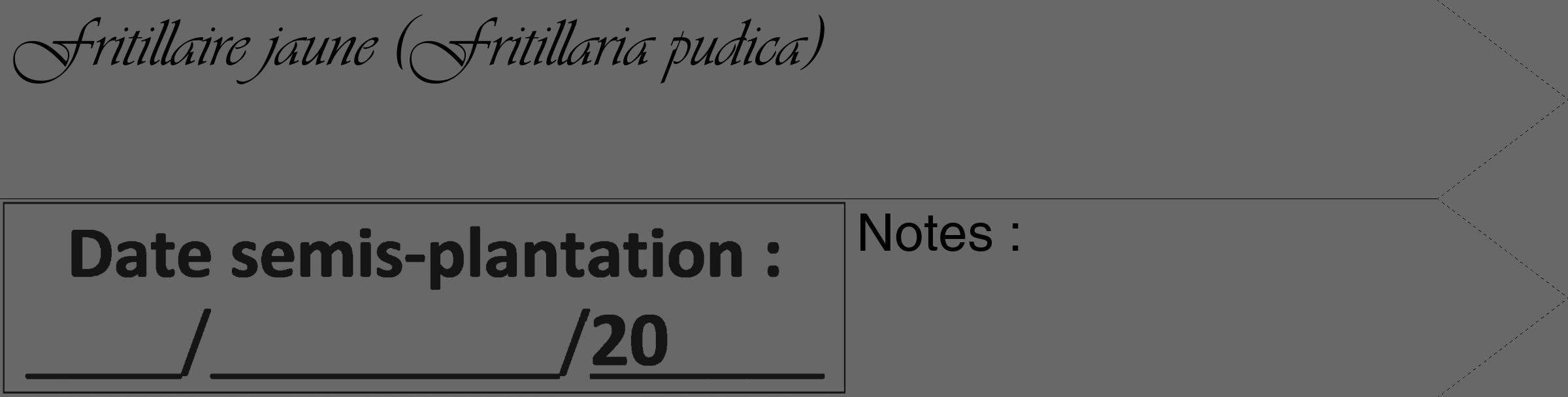 Étiquette de : Fritillaria pudica - format c - style noire43_simple_simpleviv avec comestibilité