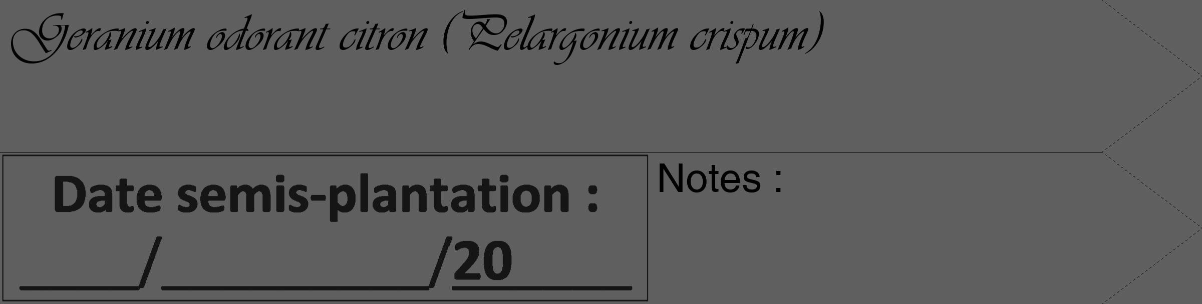 Étiquette de : Pelargonium crispum - format c - style noire10_simple_simpleviv avec comestibilité