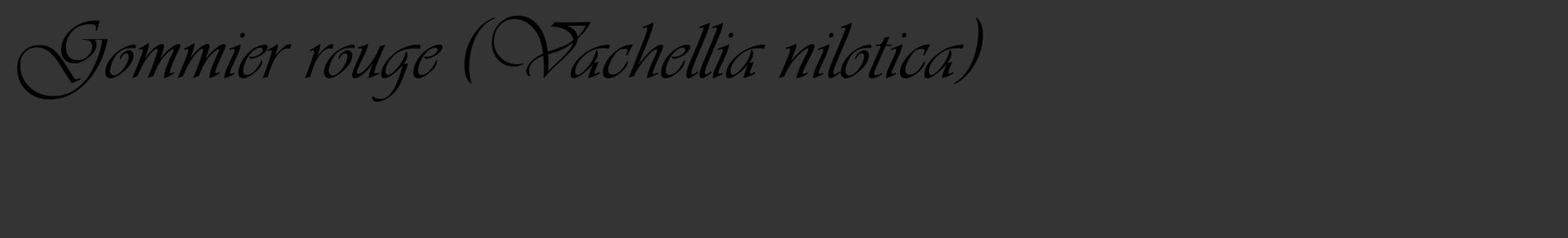 Étiquette de : Vachellia nilotica - format c - style noire46_basique_basiqueviv avec comestibilité