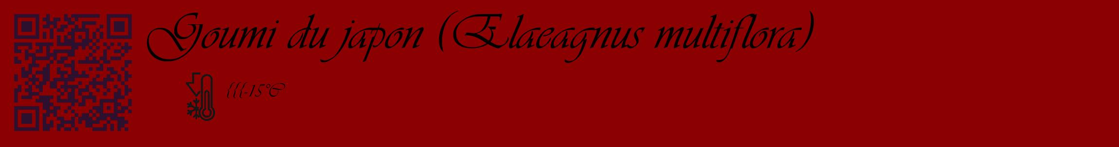 Étiquette de : Elaeagnus multiflora - format c - style noire34_basique_basiqueviv avec qrcode et comestibilité