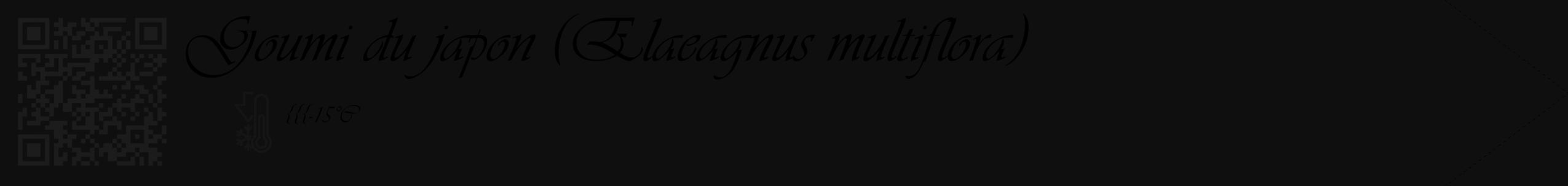 Étiquette de : Elaeagnus multiflora - format c - style noire7_simple_simpleviv avec qrcode et comestibilité