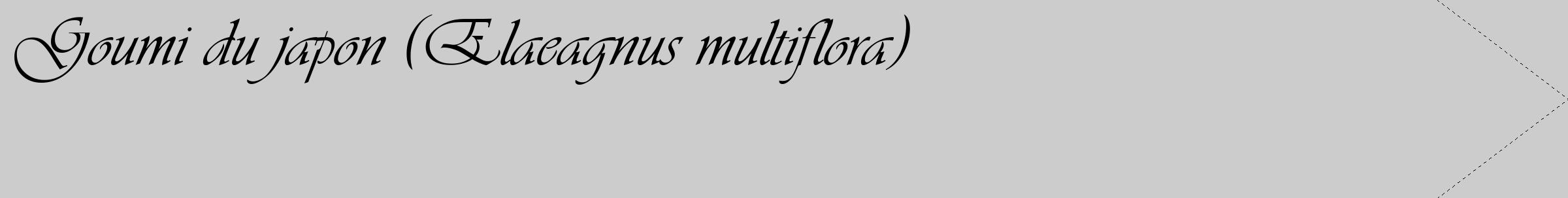 Étiquette de : Elaeagnus multiflora - format c - style noire0_simple_simpleviv avec comestibilité