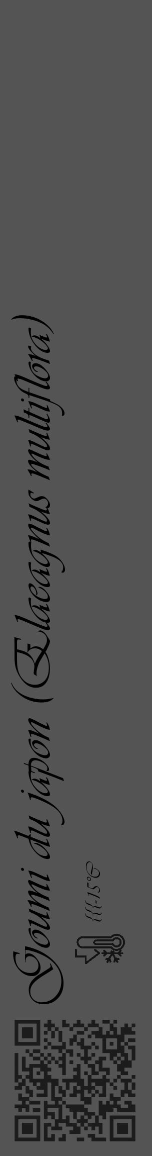 Étiquette de : Elaeagnus multiflora - format c - style noire30_basique_basiqueviv avec qrcode et comestibilité - position verticale