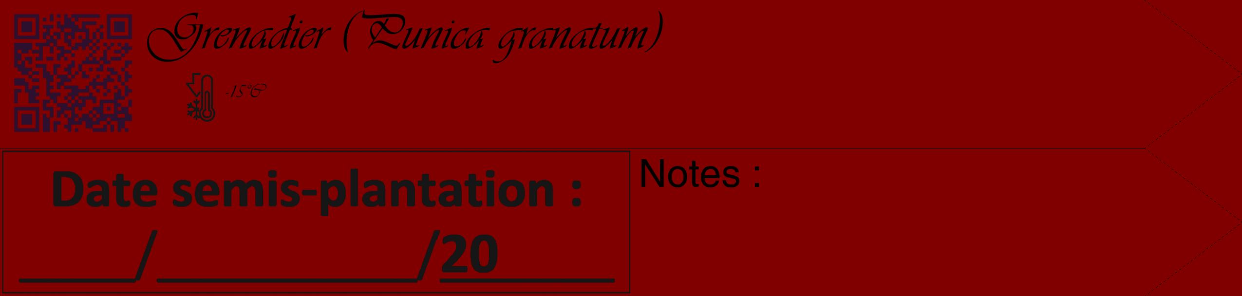 Étiquette de : Punica granatum - format c - style noire29_simple_simpleviv avec qrcode et comestibilité