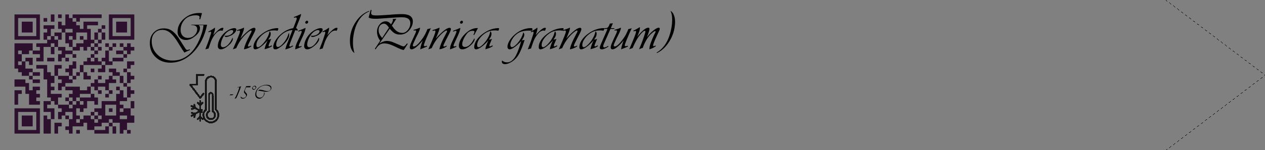 Étiquette de : Punica granatum - format c - style noire57_simple_simpleviv avec qrcode et comestibilité