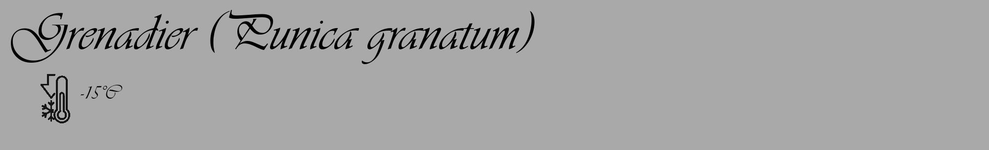 Étiquette de : Punica granatum - format c - style noire13_basique_basiqueviv avec comestibilité
