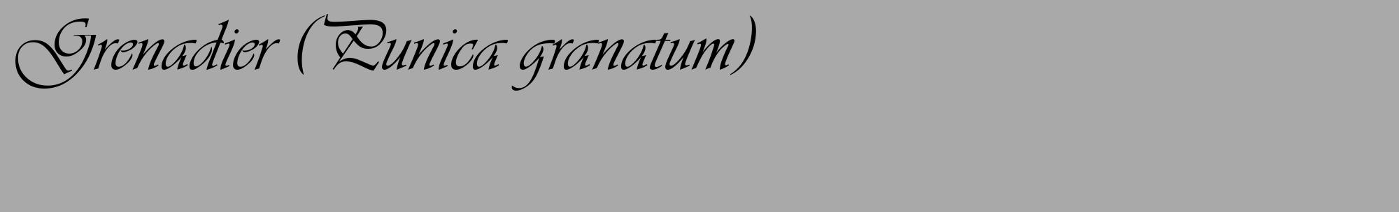 Étiquette de : Punica granatum - format c - style noire13_basique_basiqueviv avec comestibilité