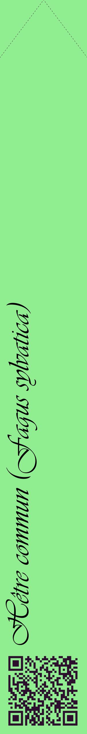 Étiquette de : Fagus sylvatica - format c - style noire15_simpleviv avec qrcode et comestibilité