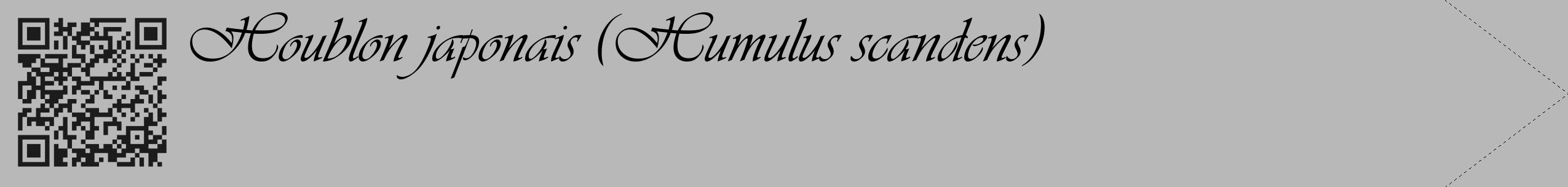 Étiquette de : Humulus scandens - format c - style noire39_simple_simpleviv avec qrcode et comestibilité