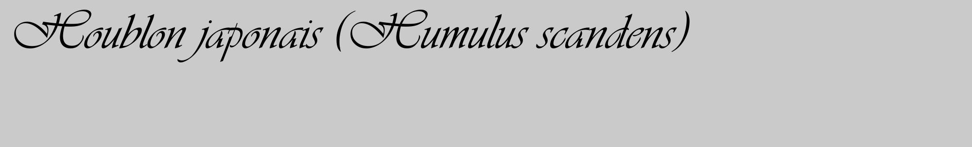 Étiquette de : Humulus scandens - format c - style noire21_basique_basiqueviv avec comestibilité